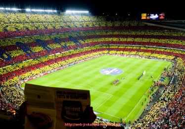 JRS低调看球-世俱杯球员训练计划制定及个性化训练策略