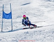 JRS低调看球-今日火箭队比赛比分直播及数据解读